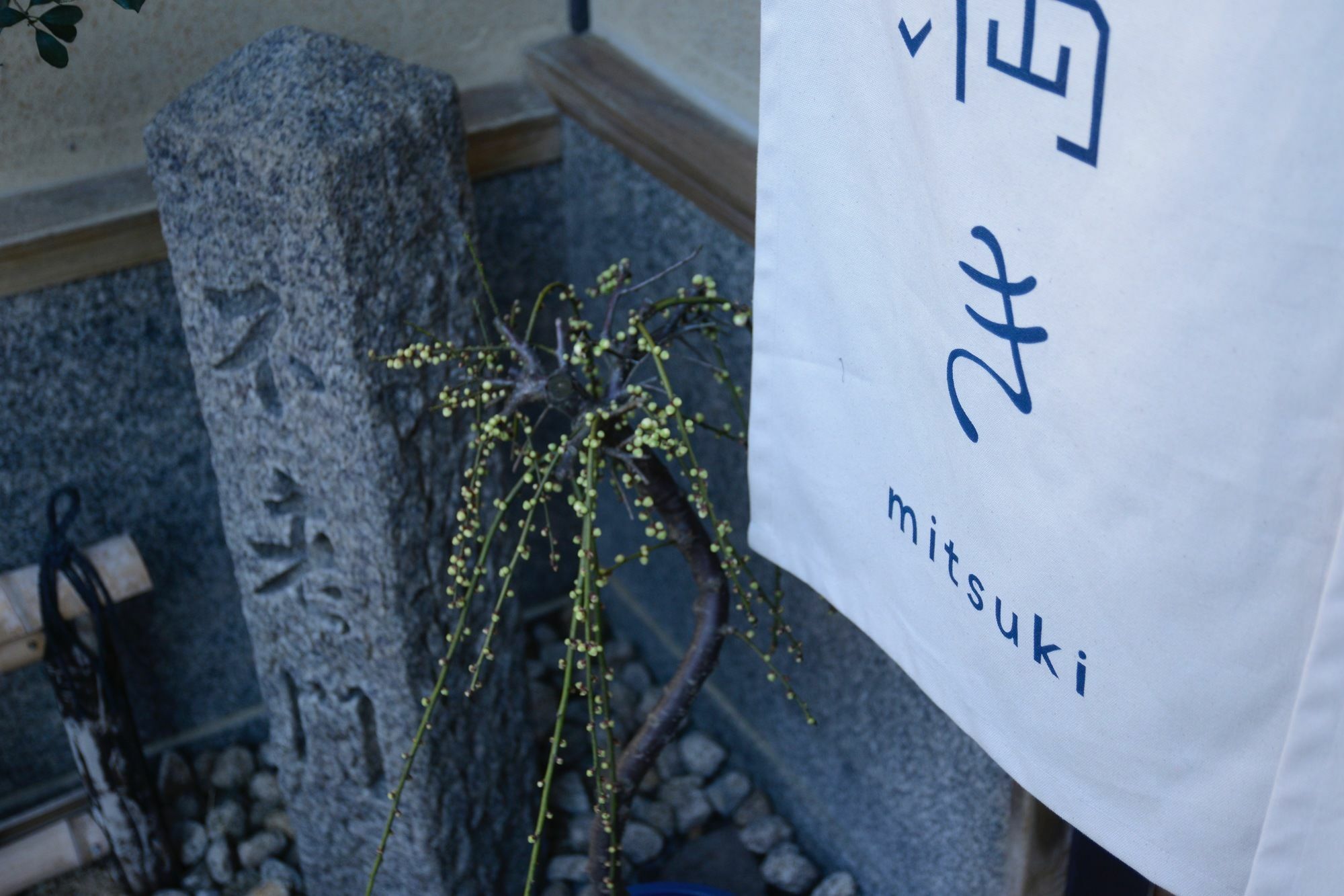 Mitsuki Kyoto Hotel Eksteriør billede