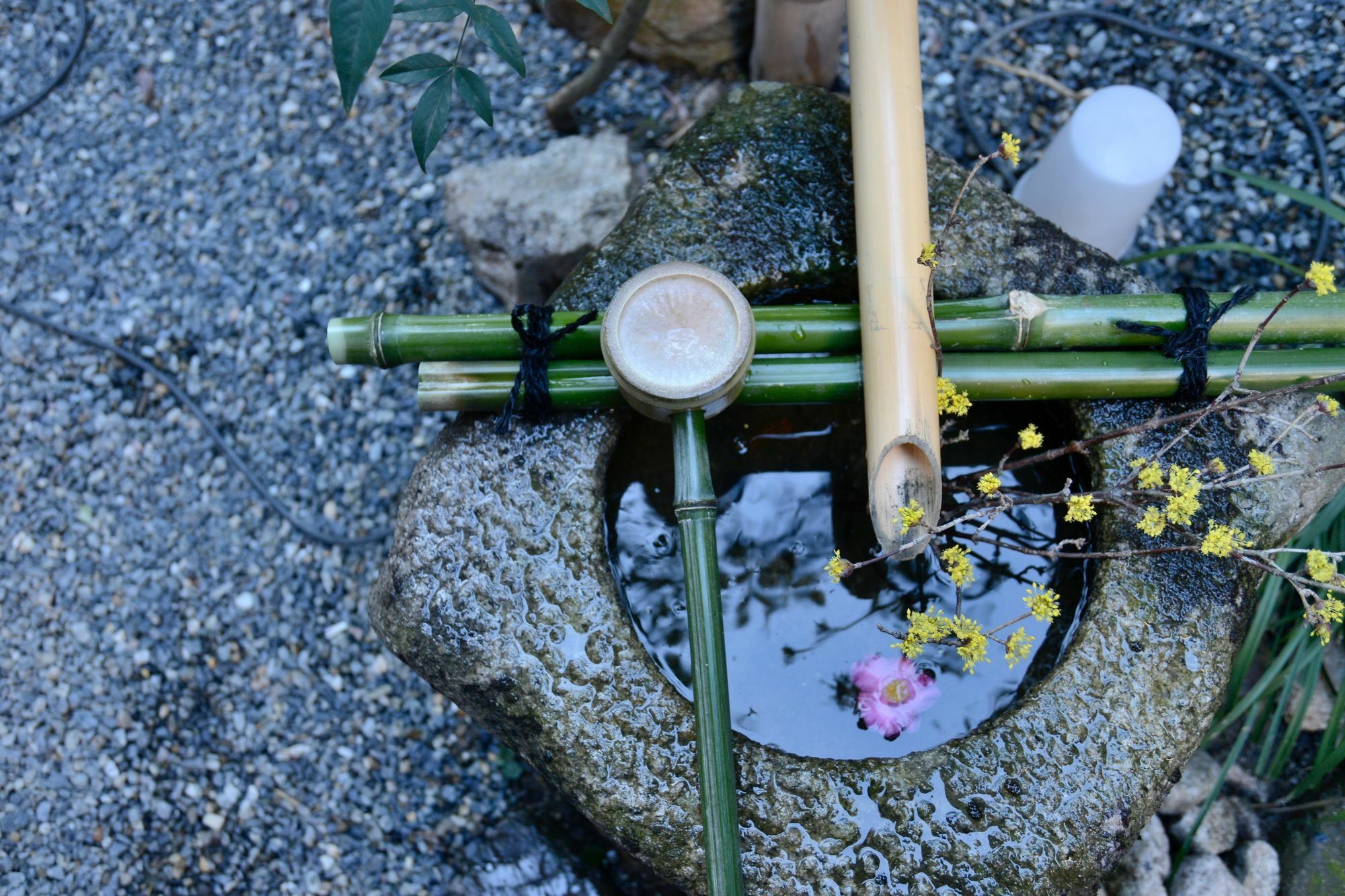 Mitsuki Kyoto Hotel Eksteriør billede