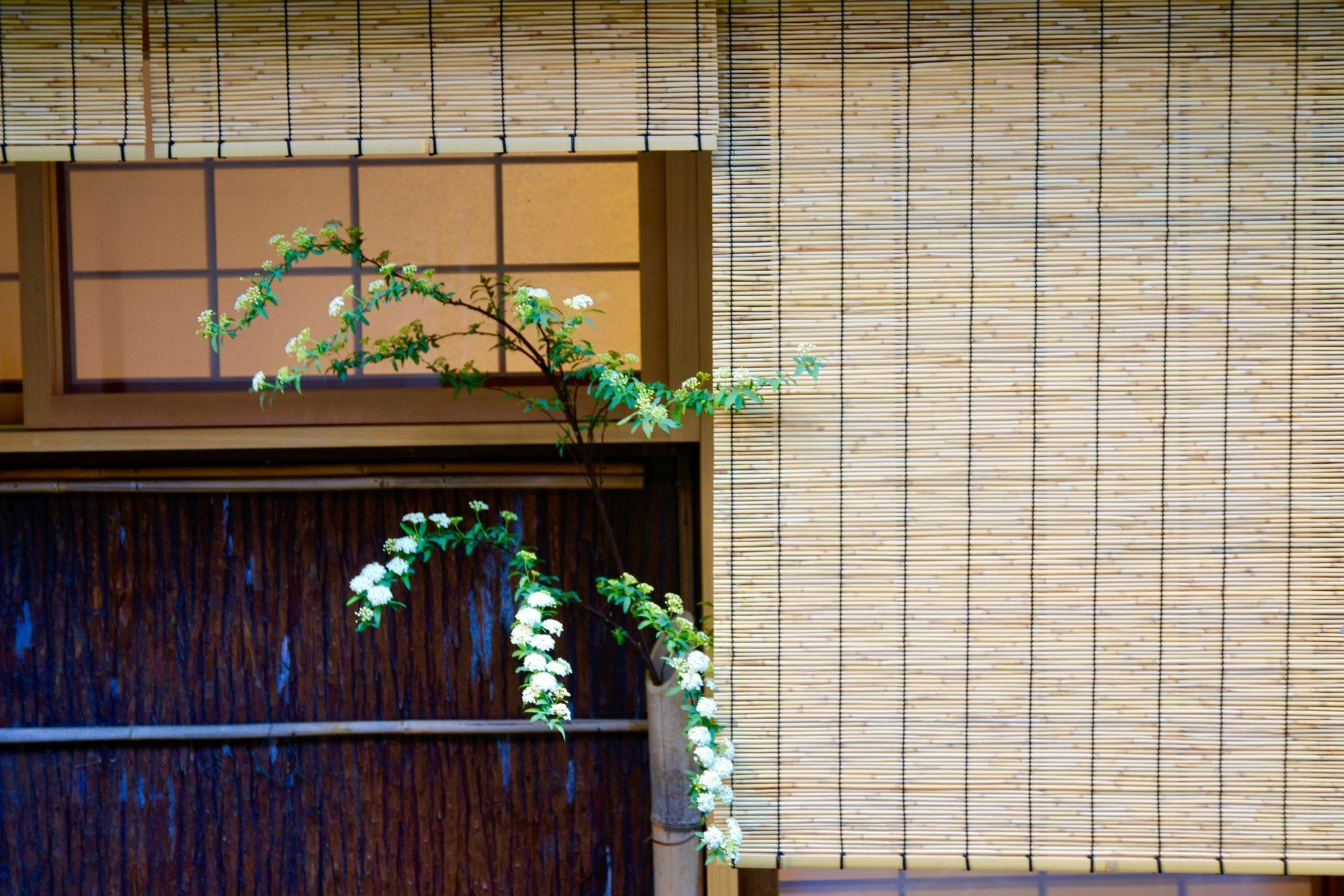 Mitsuki Kyoto Hotel Eksteriør billede